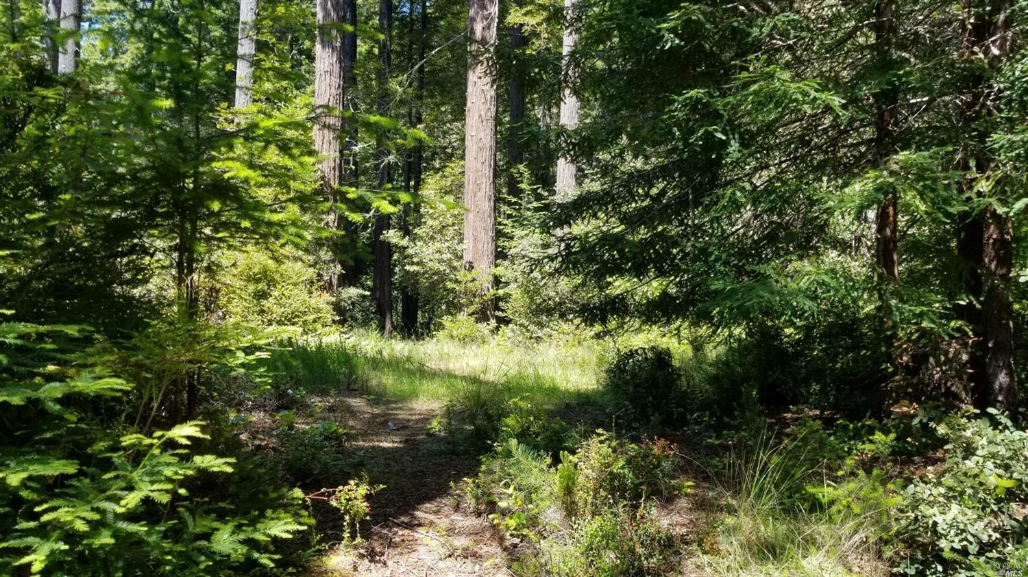 Property Photo: 22136 Pine Court CA 95450