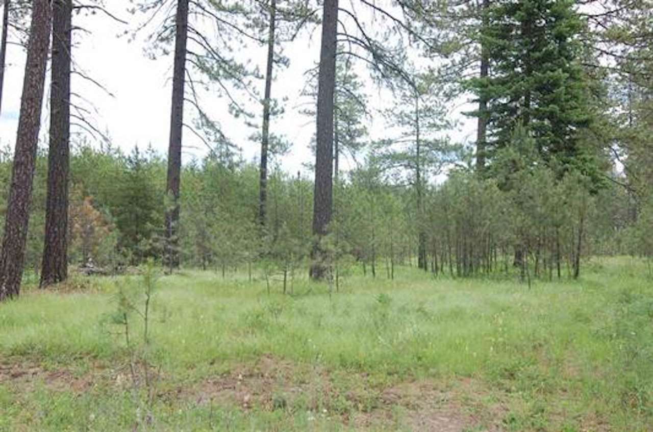 Property Photo:  Xxx16 Montgomery Rd Tract 16  WA 99006 