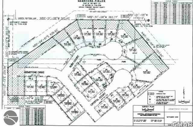 Property Photo:  238 Ruby Court Unit 67  MI 48801 