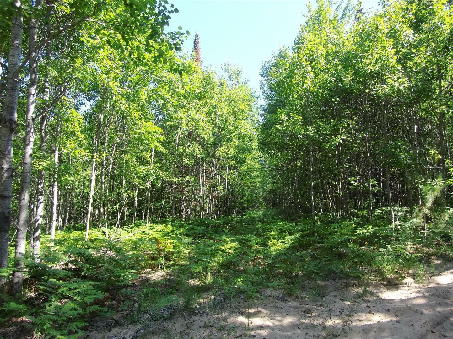Property Photo:  South Ridge Trail  MI 49749 