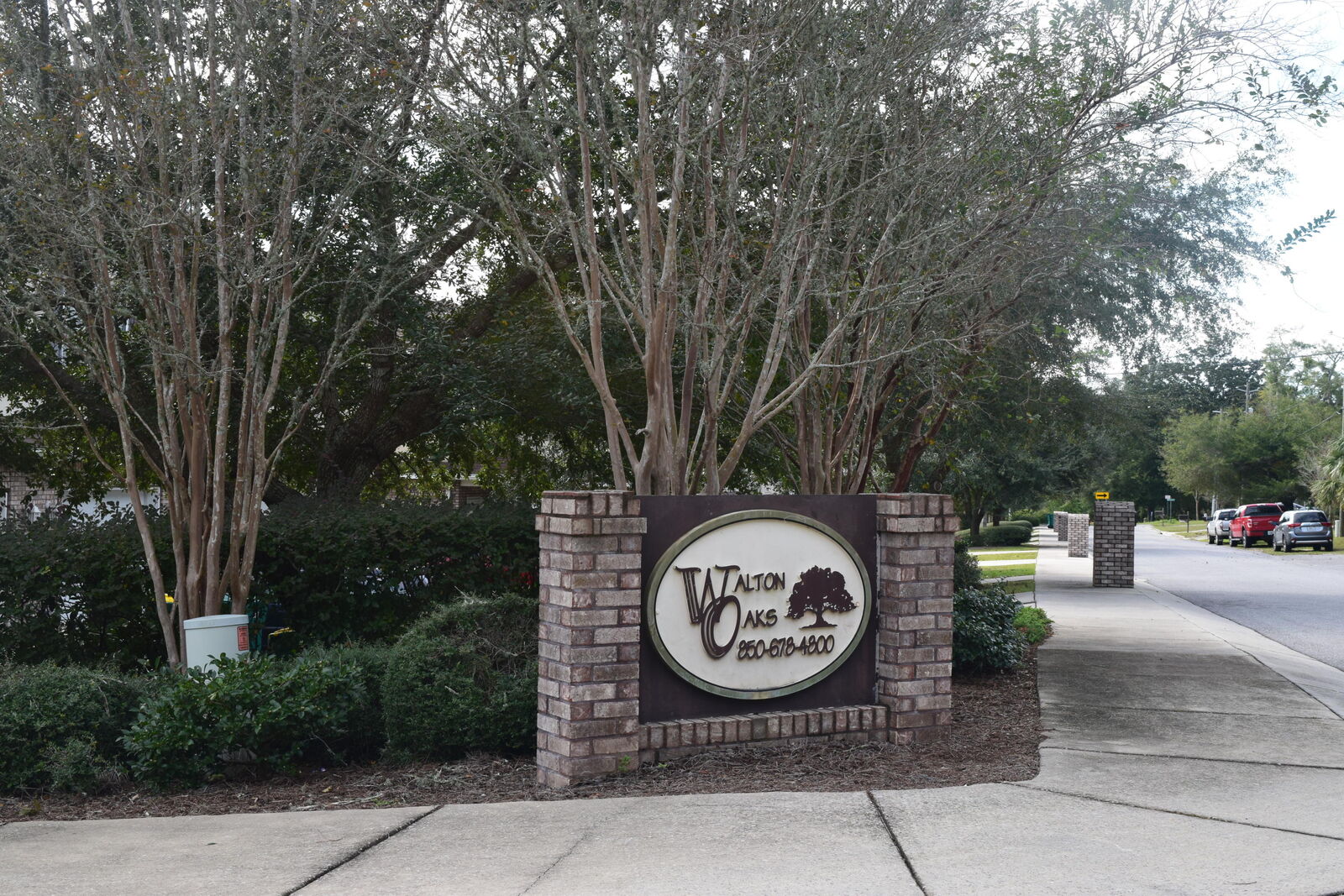 Property Photo:  317 Nathey Avenue  FL 32578 