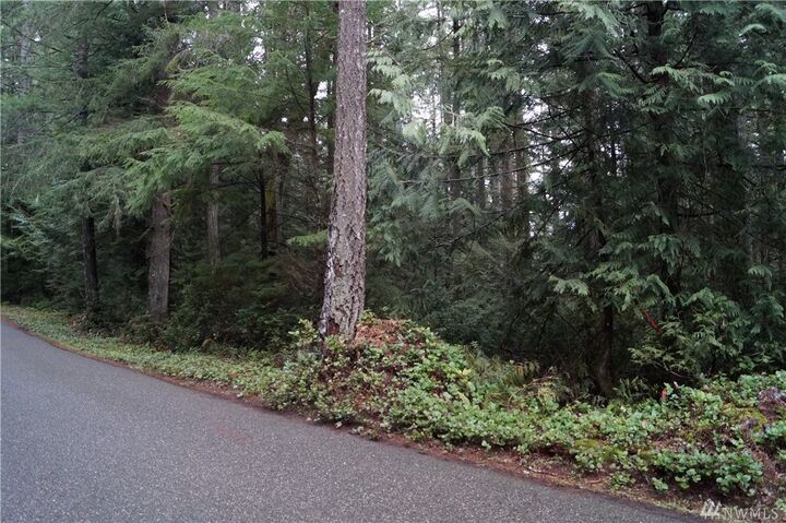 15 SE Arcadia Shores Rd  Shelton WA 98584 photo