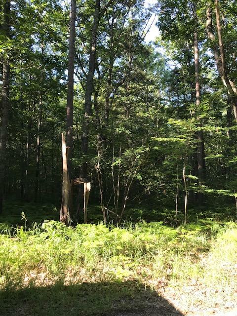 Property Photo:  W Numbers Road 10 Acres  MI 49749 