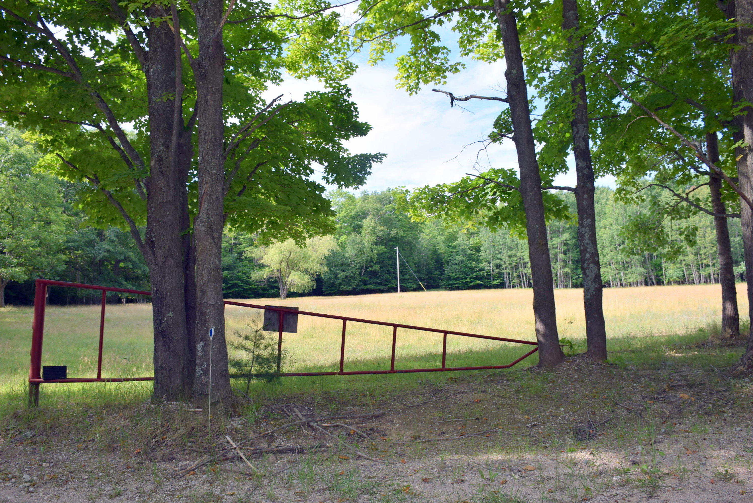 Property Photo:  Cook Road 10 Acres  MI 49749 