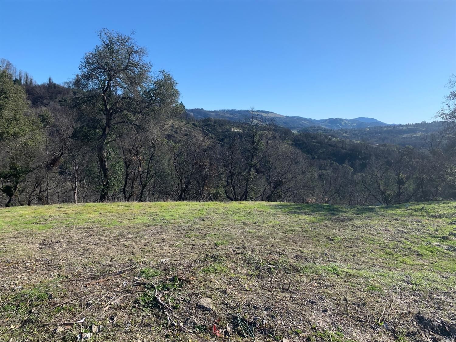 Property Photo:  5203 Vista Grande Drive  CA 95403 