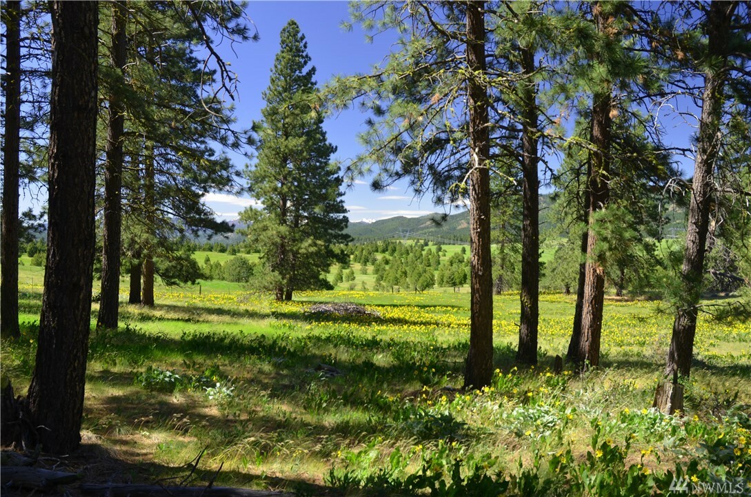 Property Photo:  Lot 4A Hidden Valley Rd  WA 98922 