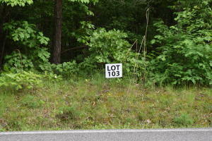 Lot 103 Halfmoon Shores Drive  Ten Mile TN 37880 photo