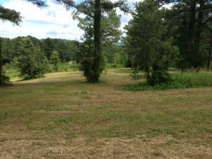 1753 Grand Pine Point  Maryville TN 37801 photo