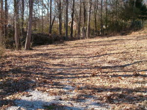 Property Photo:  429 Shady Lane  TN 37763 