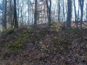 Property Photo:  Lake Overlook  TN 37854 