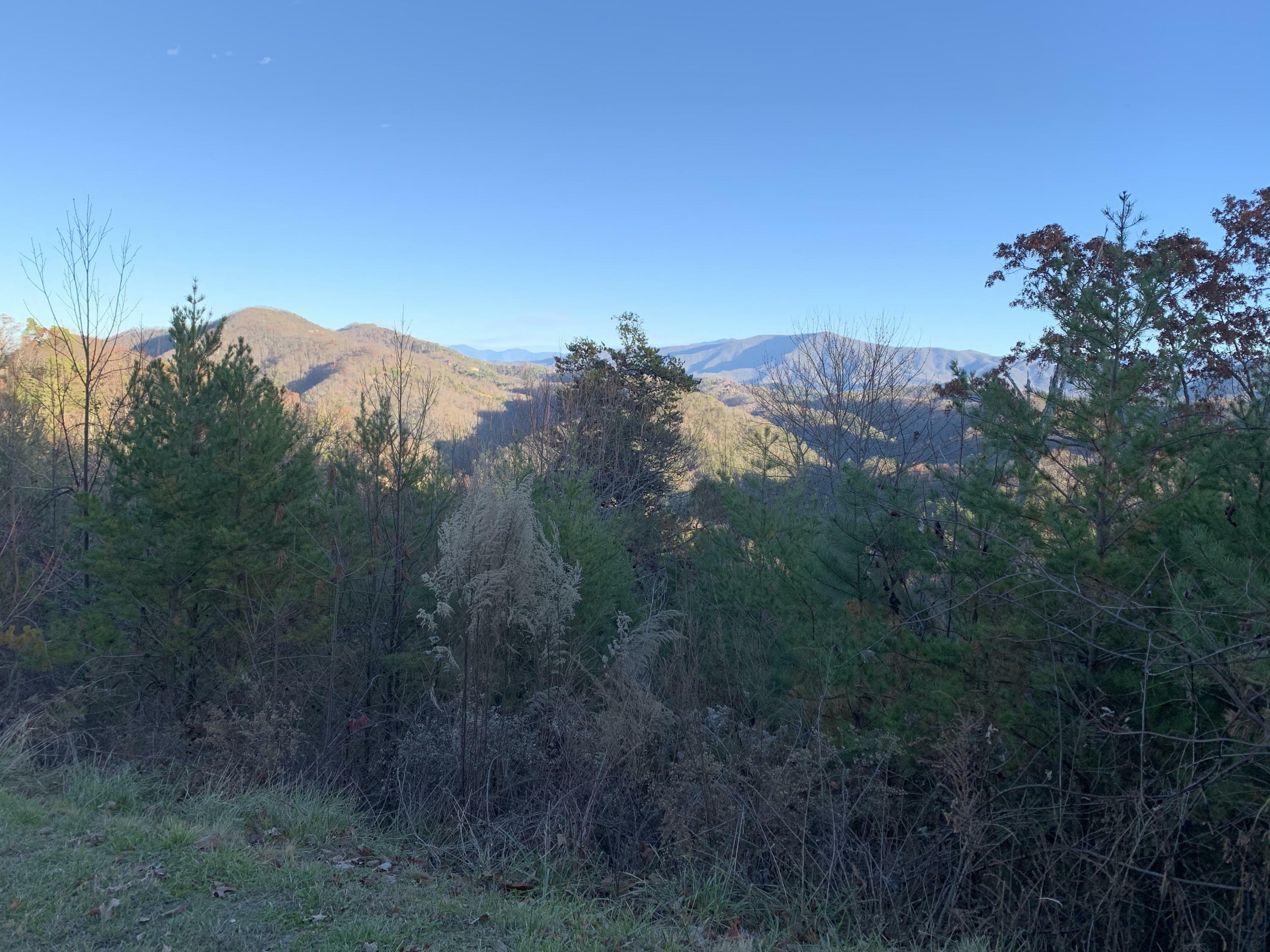 Property Photo: Lot 40W 4978 Long Rifle Rd TN 37886