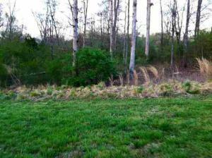 Property Photo:  Lot 24 County Road 7030  TN 37303 