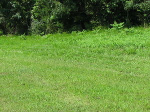 Property Photo:  Crystal Springs Rd  TN 37854 