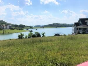Property Photo:  Reginas Point  Lot #465  TN 37866 