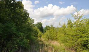 Property Photo:  Crystal Springs Rd  TN 37854 