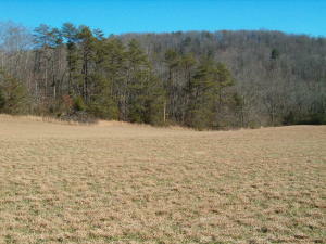 Property Photo:  Edwards Rd  TN 37748 