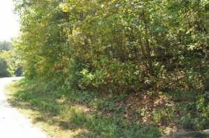 Property Photo:  Dogwood Rd  TN 37763 