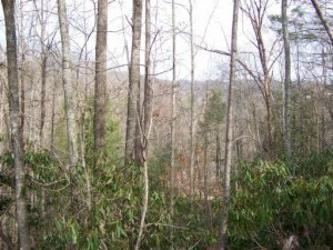 Property Photo:  Chimney Tops Way  TN 37738 