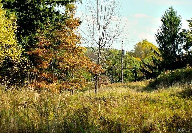 Property Photo: 176 Elise Drive NY 10941