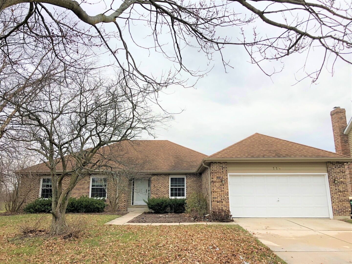 Property Photo:  110 Grays Court  IL 60543 