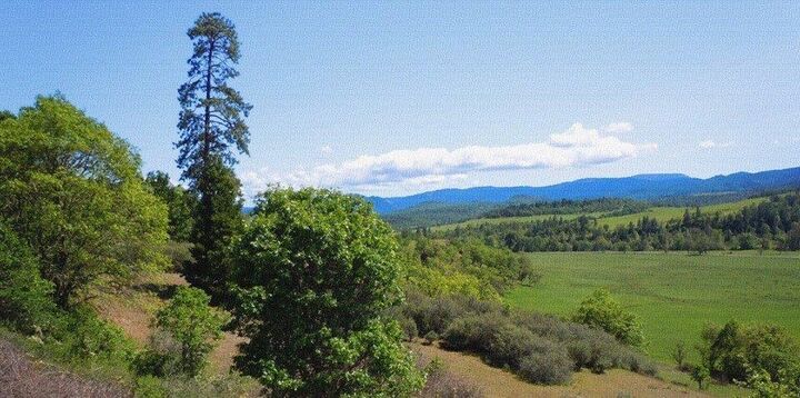 13950 Hwy 140  Eagle Point OR 97524 photo