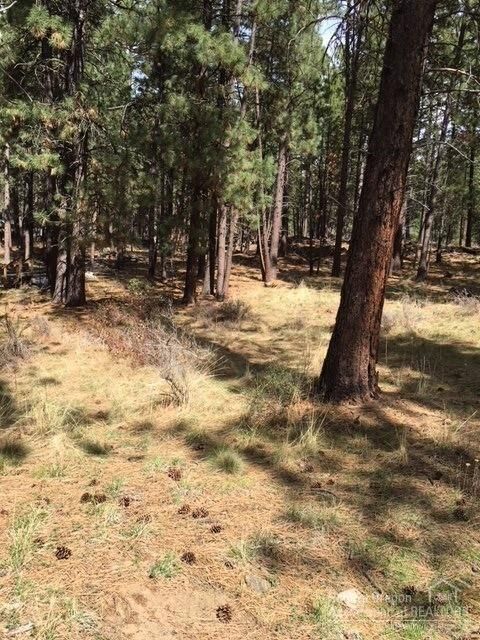 60134 Turquoise Road  Bend OR 97702 photo