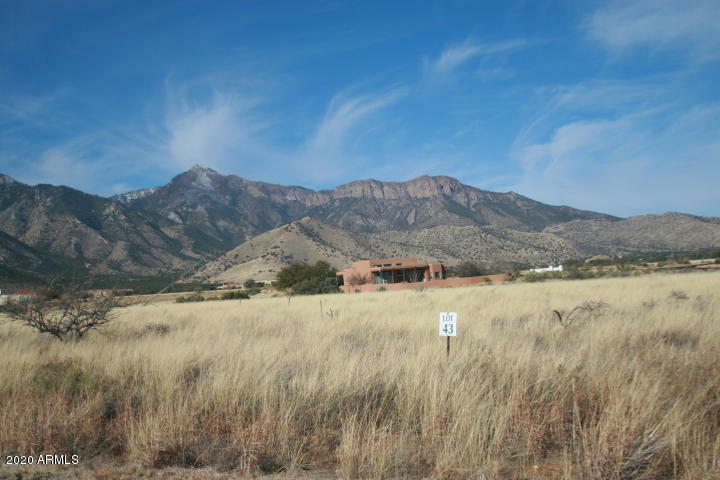 Property Photo:  Lot 43 S Hackney Place  AZ 85615 