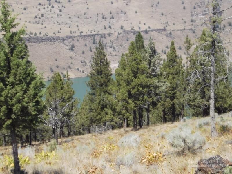 Property Photo:  12190 SW This Way Lane  OR 97734 