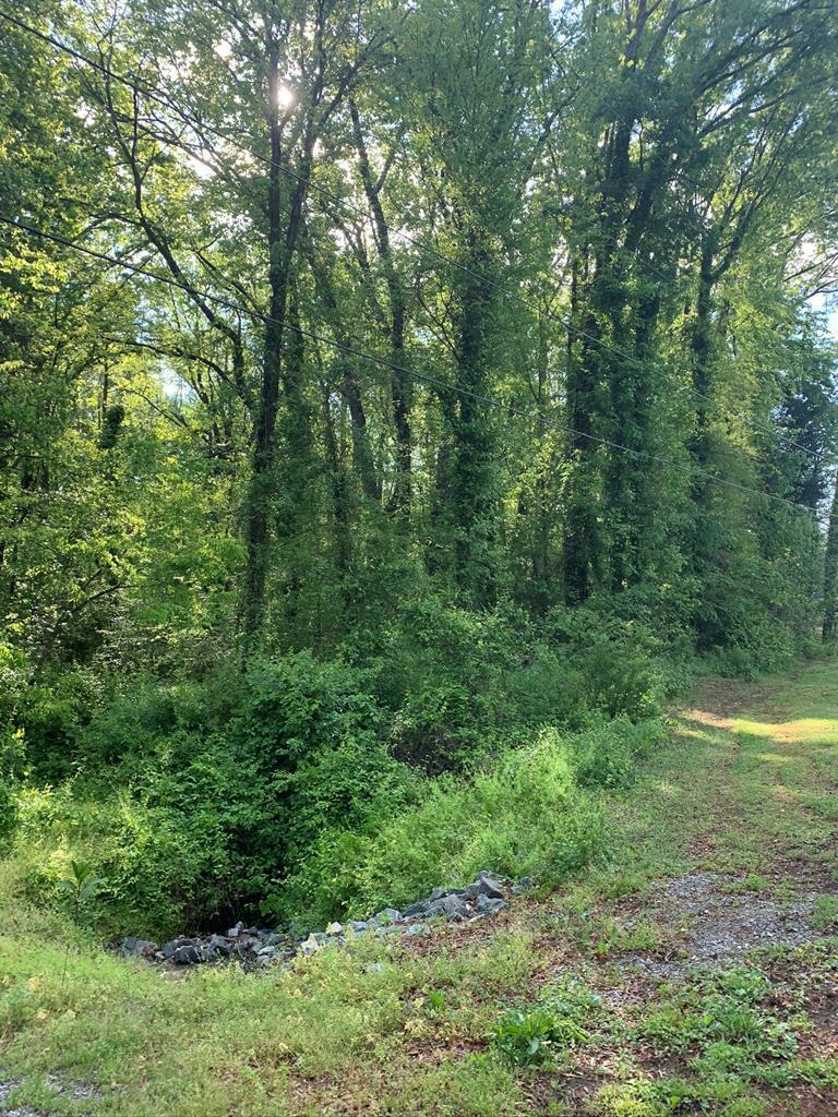 Property Photo:  Lot Willow Oak Drive  VA 23927 