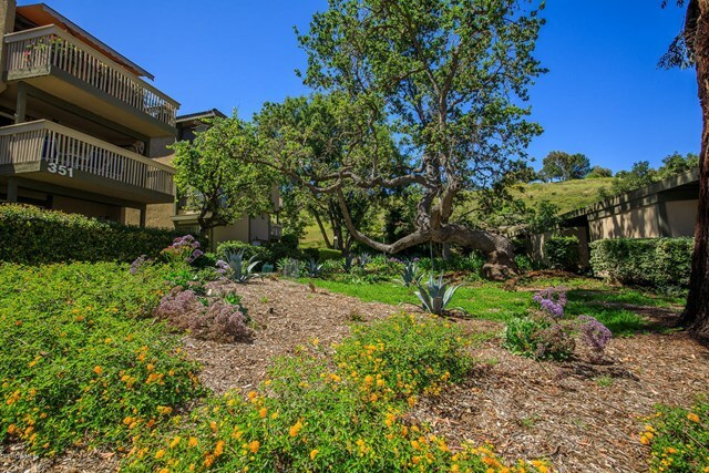 Property Photo:  351 Chestnut Hill Court 24  CA 91360 