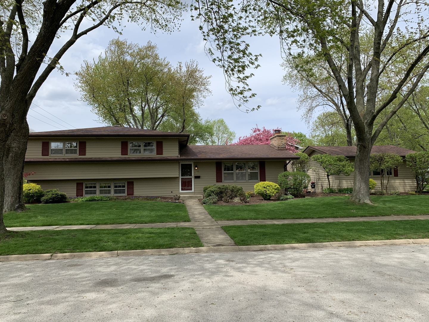 Property Photo:  505 Tupelo Avenue  IL 60540 