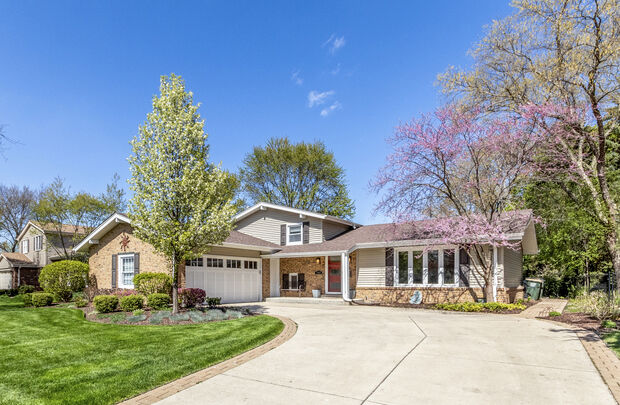 Property Photo:  1519 South Princeton Avenue  IL 60005 