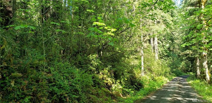 8210 SE Lynch Rd  Shelton WA 98584 photo