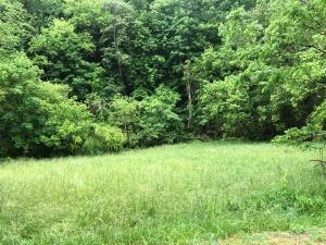 Property Photo:  091 024.01 Muddy Hollow Rd  TN 37725 