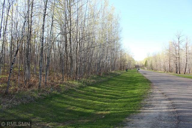 Property Photo: Tbd Corner Aspen Drive MN 55744