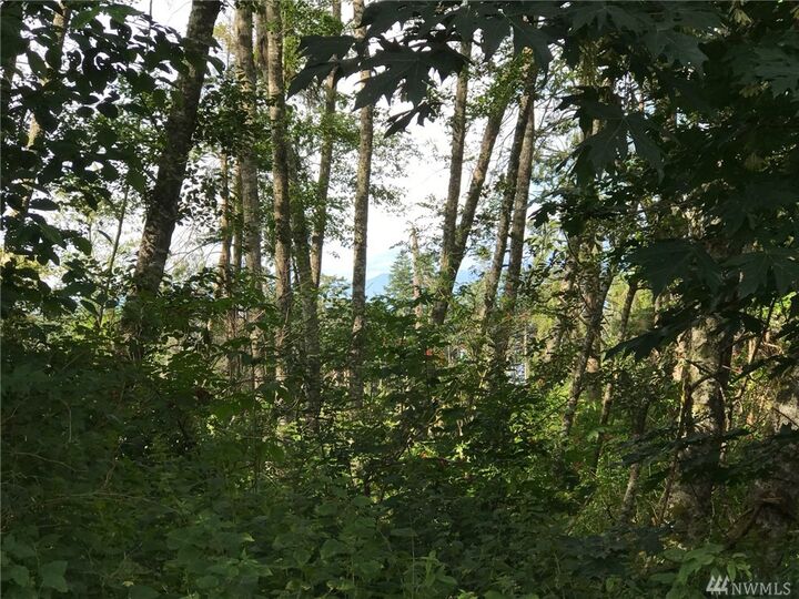 Property Photo:  0 Admirals Dr  WA 98239 