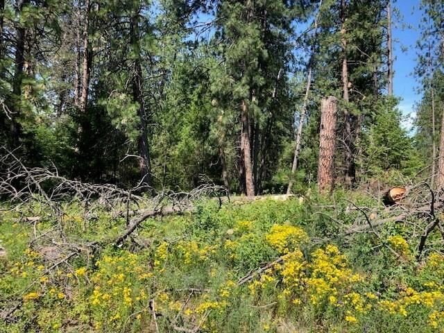 Property Photo: Xxxxx N Hatch Rd WA 99006