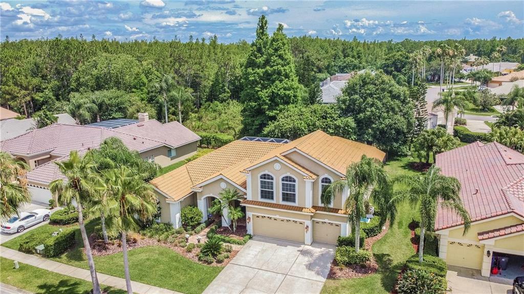 Property Photo:  12018 Marblehead Drive  FL 33626 