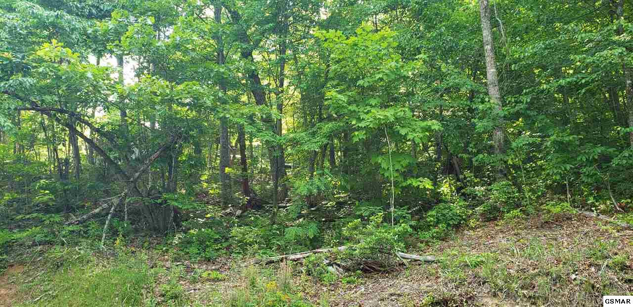 Property Photo: Overholt Trail TN 37862