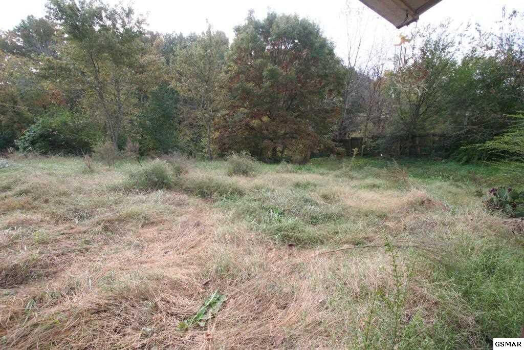 Property Photo:  2629 Big River Overlook Drive  TN 37876 