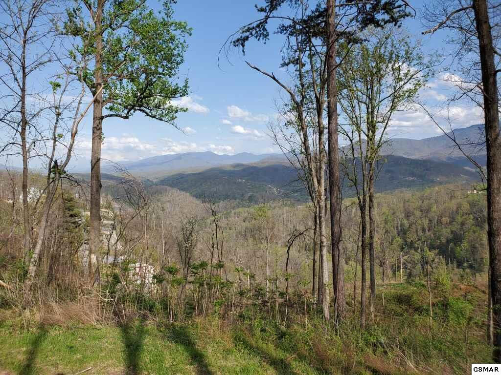 Property Photo:  866 Chalet Village Boulevard  TN 37738 