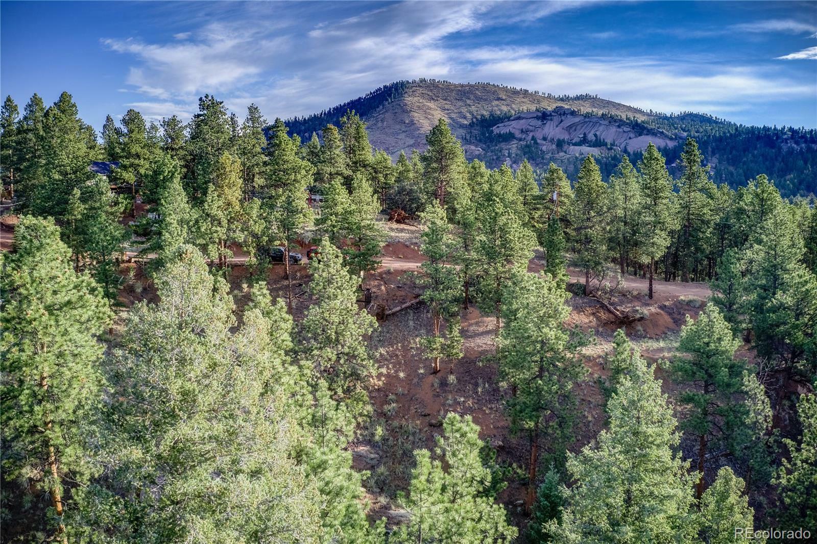 Property Photo:  29542 High Road  CO 80470 