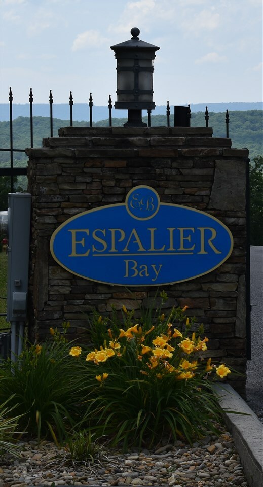 Property Photo: Lot 37 Espalier Drive TN 37322
