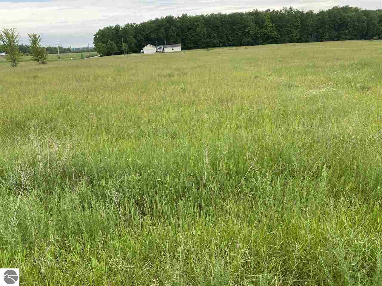 Tobeco Creek Drive  Williamsburg MI 49690 photo