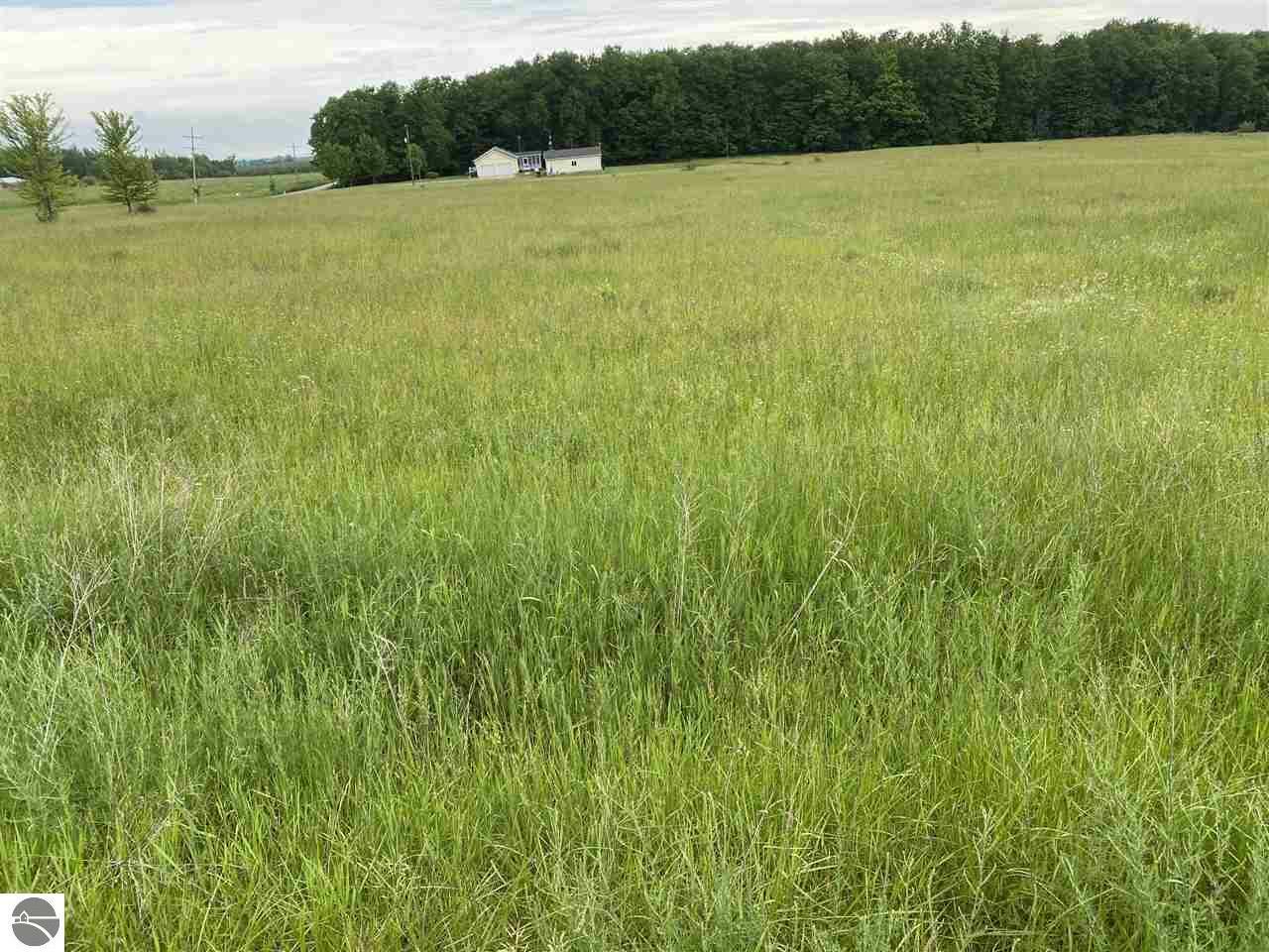 Property Photo: Tobeco Creek Drive MI 49690