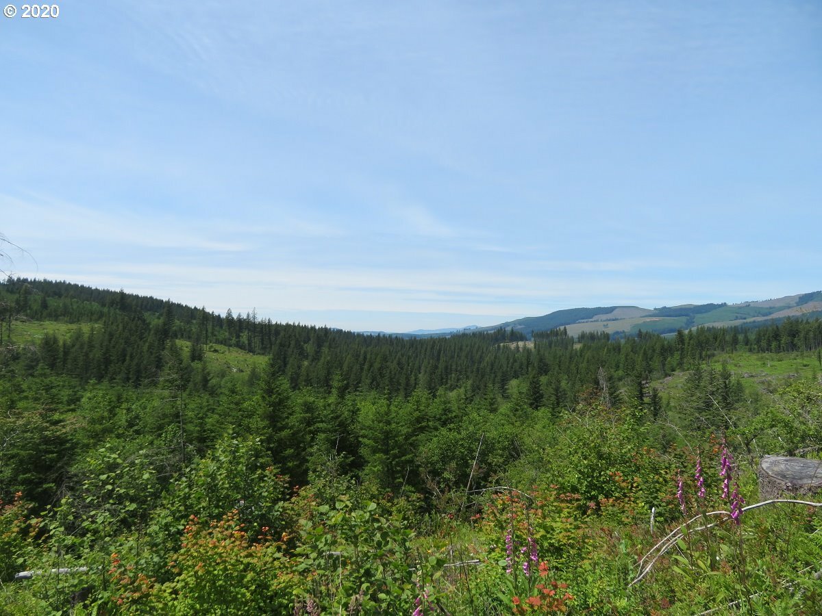 Property Photo:  0 L-1100 Rd  WA 98675 