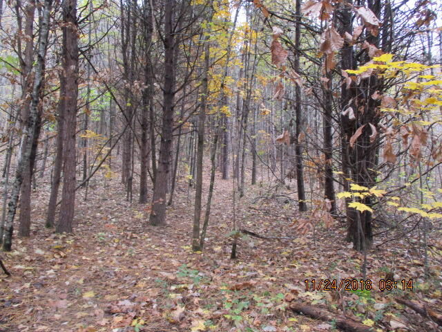 Property Photo:  239 S Longhollow Rd  GA 30753 