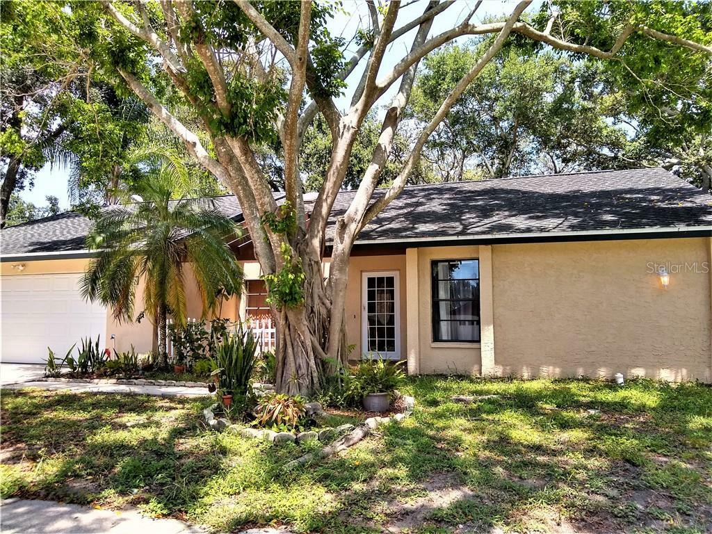 Property Photo: 200 Arbor Drive W FL 34683