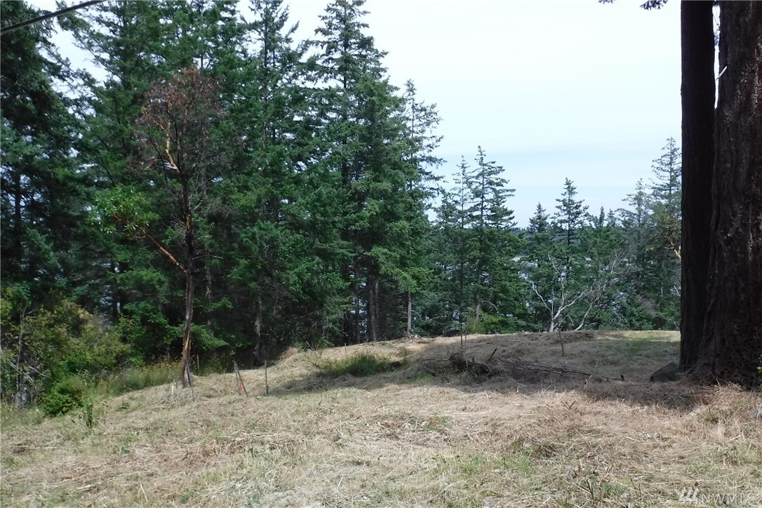 Property Photo: 1250 Island Dr WA 98262