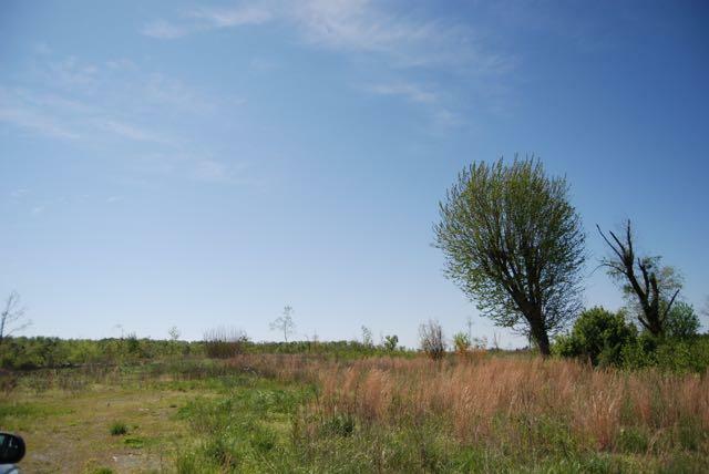 Property Photo: 2044 County 739 Road AL 35978